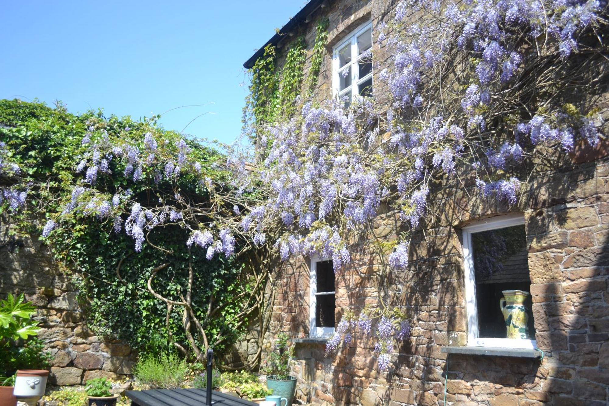 The Old Police Station Villa Hatherleigh Dış mekan fotoğraf